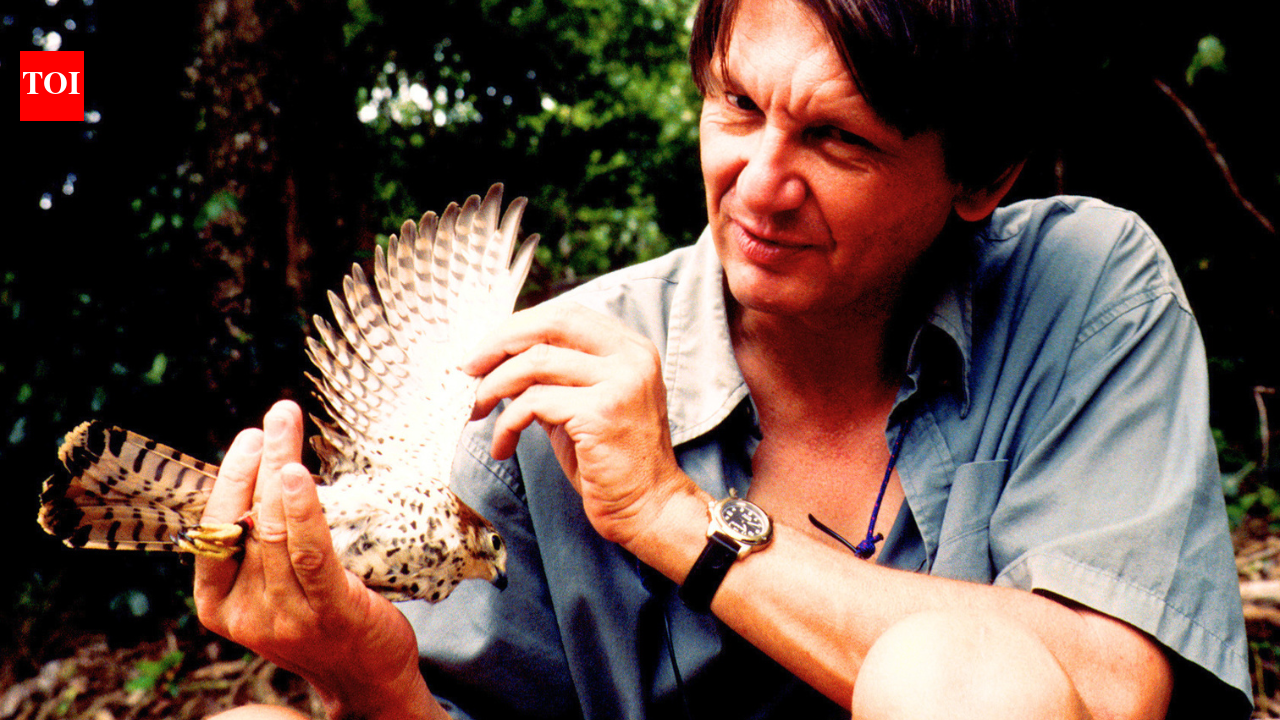 In 1974, just four Mauritius kestrels remained in the wild; then Carl Jones brought the bird back from the brink of extinction, with numbers reaching around 600